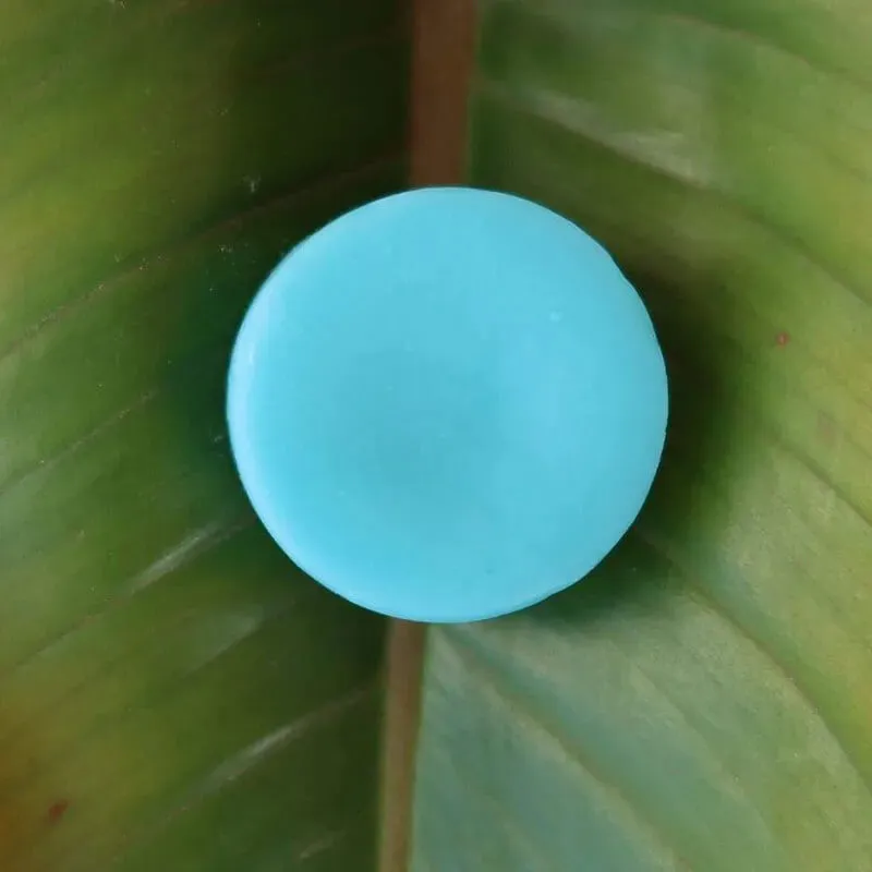 Seaweed Conditioner Bar