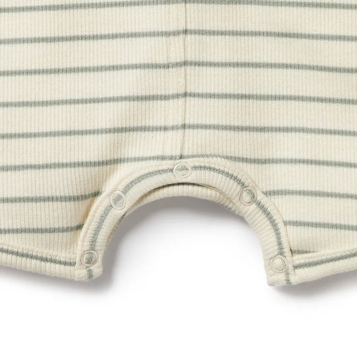 Wilson & Frenchy Petit Sage Organic Henley Growsuit